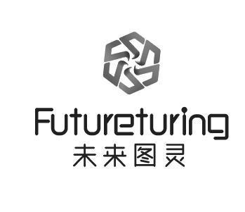 未來圖靈,近似查詢,信息查詢