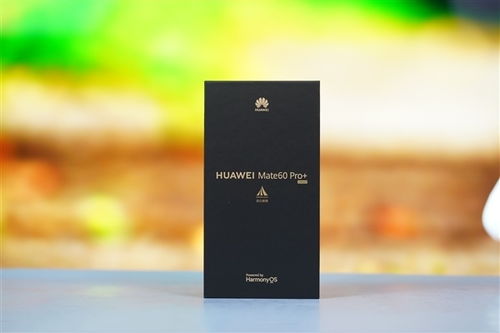 全球首款雙星衛星通信手機 華為mate 60 pro 硯黑圖賞