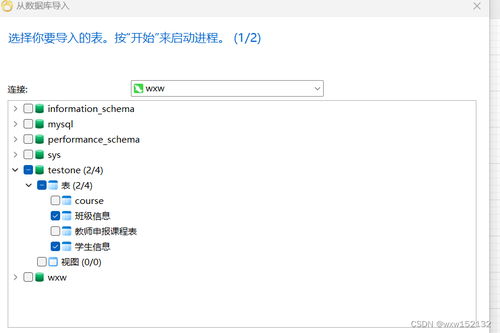學(xué)生信息表e r圖